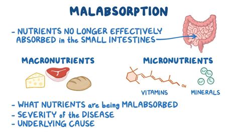 fat gi|why is malabsorption bad.